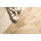 Marrone Polished Marble