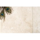 Ivory Honed & Filled Travertine