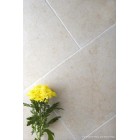 Salem Gold Tumbled Limestone